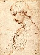 RAFFAELLO Sanzio Waist-length Figure of a Young Woman oil